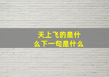 天上飞的是什么下一句是什么