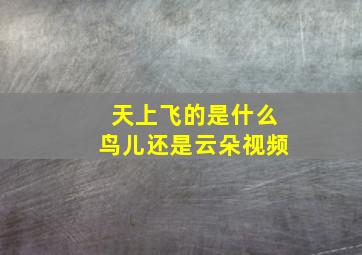 天上飞的是什么鸟儿还是云朵视频