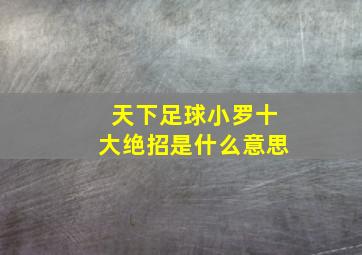 天下足球小罗十大绝招是什么意思