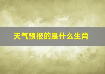 天气预报的是什么生肖