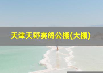 天津天野赛鸽公棚(大棚)