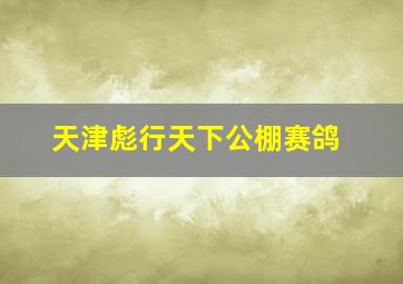 天津彪行天下公棚赛鸽