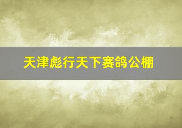 天津彪行天下赛鸽公棚