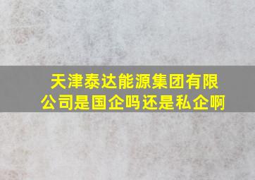 天津泰达能源集团有限公司是国企吗还是私企啊