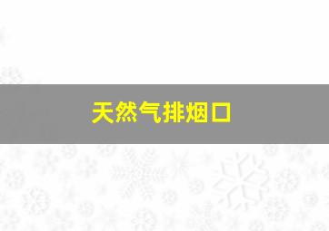 天然气排烟口