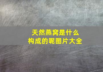 天然燕窝是什么构成的呢图片大全