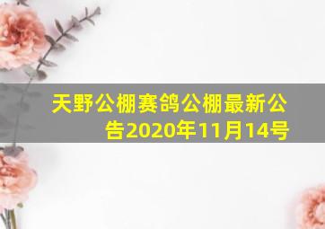 天野公棚赛鸽公棚最新公告2020年11月14号