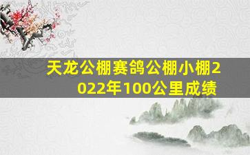 天龙公棚赛鸽公棚小棚2022年100公里成绩