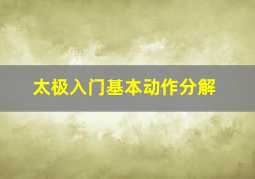 太极入门基本动作分解