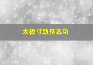 太极寸劲基本功