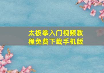 太极拳入门视频教程免费下载手机版