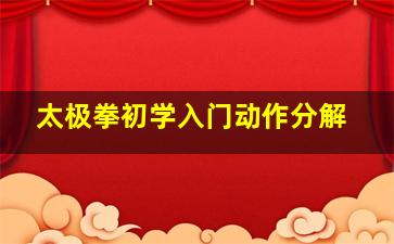 太极拳初学入门动作分解