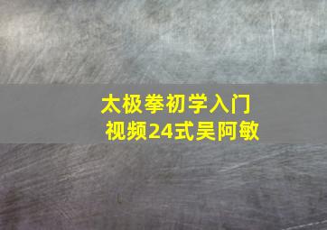 太极拳初学入门视频24式吴阿敏