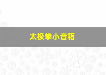 太极拳小音箱