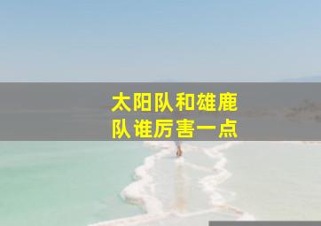 太阳队和雄鹿队谁厉害一点