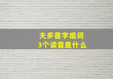 夫多音字组词3个读音是什么