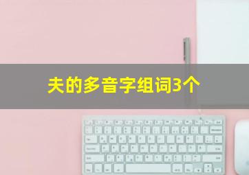 夫的多音字组词3个