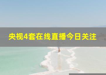 央视4套在线直播今日关注