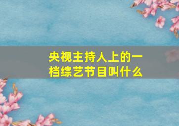 央视主持人上的一档综艺节目叫什么