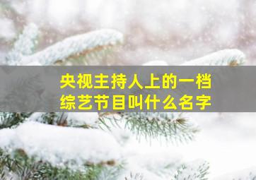 央视主持人上的一档综艺节目叫什么名字