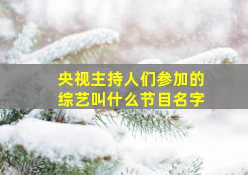 央视主持人们参加的综艺叫什么节目名字