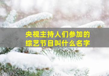 央视主持人们参加的综艺节目叫什么名字