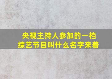 央视主持人参加的一档综艺节目叫什么名字来着