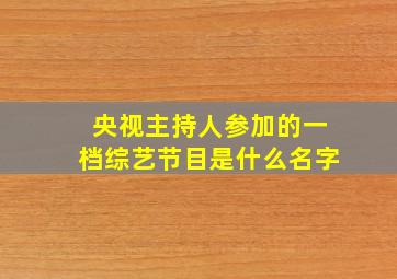 央视主持人参加的一档综艺节目是什么名字