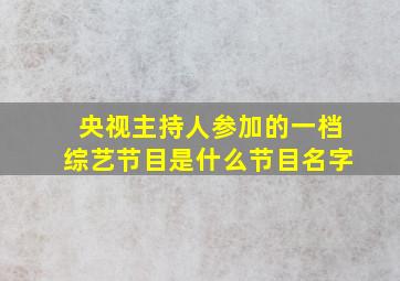 央视主持人参加的一档综艺节目是什么节目名字