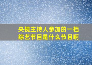 央视主持人参加的一档综艺节目是什么节目啊