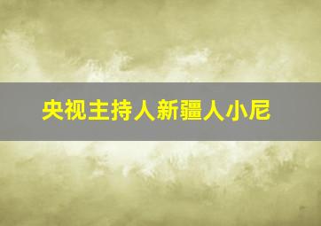 央视主持人新疆人小尼