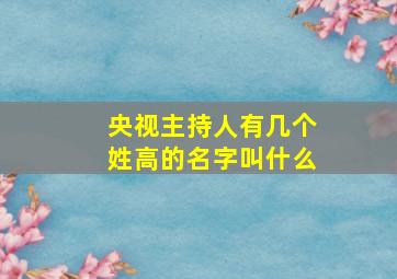 央视主持人有几个姓高的名字叫什么