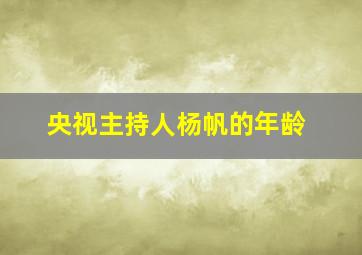 央视主持人杨帆的年龄