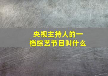 央视主持人的一档综艺节目叫什么