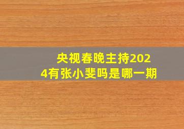 央视春晚主持2024有张小斐吗是哪一期