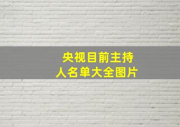 央视目前主持人名单大全图片