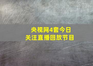 央视网4套今日关注直播回放节目