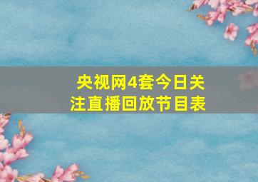 央视网4套今日关注直播回放节目表