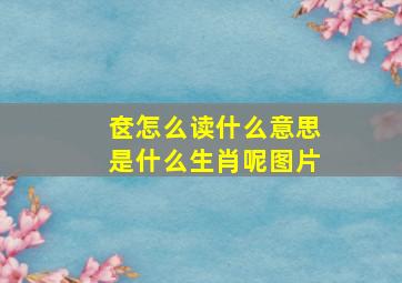 奁怎么读什么意思是什么生肖呢图片