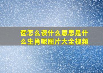 奁怎么读什么意思是什么生肖呢图片大全视频