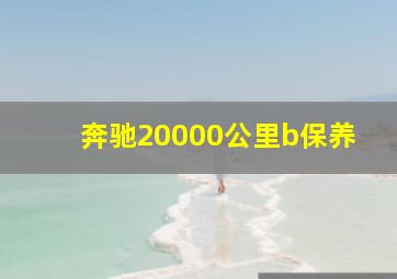 奔驰20000公里b保养