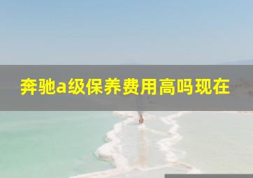 奔驰a级保养费用高吗现在