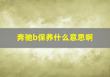 奔驰b保养什么意思啊