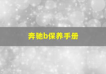 奔驰b保养手册