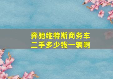 奔驰维特斯商务车二手多少钱一辆啊