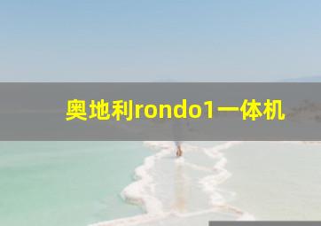 奥地利rondo1一体机