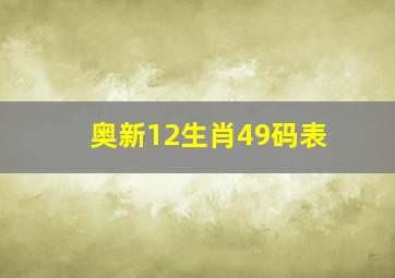 奥新12生肖49码表