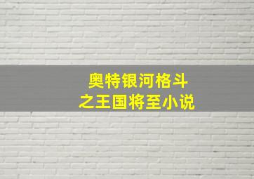 奥特银河格斗之王国将至小说