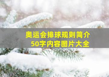 奥运会排球规则简介50字内容图片大全