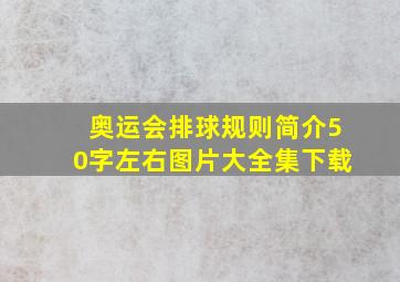 奥运会排球规则简介50字左右图片大全集下载